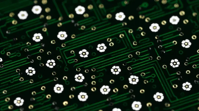 O 'Green Swap' – Mobilizando Financiamento Climático para Máximo Impacto Global